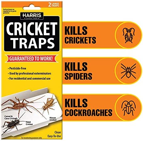 Harris Cricket Glue Traps, (2-Pack)
