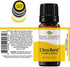 Plant Therapy Citrus Burst Synergy Essential Oil Blend 10 mL (1/3 oz) 100% Pure, Undiluted, Therapeutic Grade