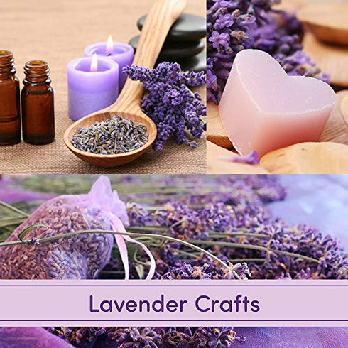 Dried Lavender Flower Buds - A Culinary Food Grade Herb Perfect for Baking, Loose Leaf Tea, Potpourri Bags, & Bath Bombs (Gluten Free, Vegan, Raw) - US Veteran and Woman Owned Business