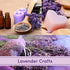 Dried Lavender Flower Buds - A Culinary Food Grade Herb Perfect for Baking, Loose Leaf Tea, Potpourri Bags, & Bath Bombs (Gluten Free, Vegan, Raw) - US Veteran and Woman Owned Business