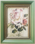 Tiffanini Traditional Gallery 5x7 inch Green Solid Hardwood Picture Frames