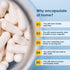 Capsuline Size 0 Gelatin Empty Capsules, 1000 Count, Empty Gel Pill Capsules, DIY Pure Bovine Pill Capsule Filling, Empty Caps, Kosher, Gluten Free and Halal Certified, Non-GMO Certified, Clear