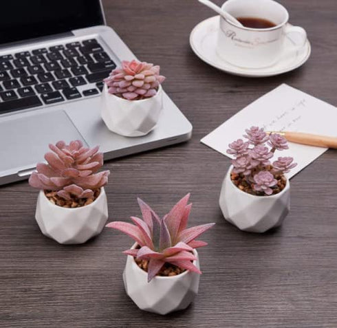 VIVERIE Faux Succulents in White Ceramic Pots (Set of 4) - Mini Life-Like Artificial Succulent Plants for Office Desk, Home Shelves, and Other Decoration Spaces