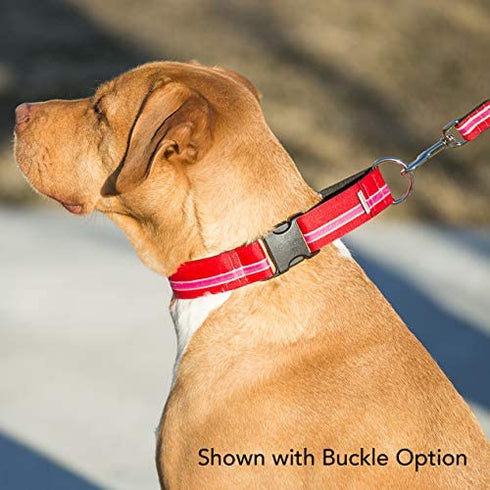 If It Barks - 1.5" Martingale Collar for Dogs - Adjustable - Nylon - Strong and Comfy - Ideal for Training - Made in USA - Large Finley