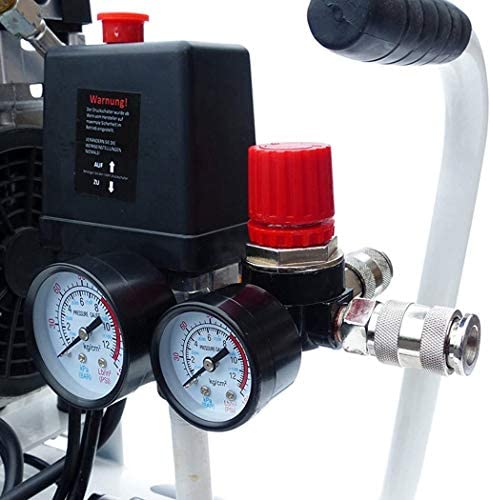 Preciva Air Compressor Pressure Regulator with Dial Gauge, 0-175 PSI Air Gauge for Air Compressor and Air Tools (Four Way Valve)