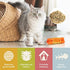 Aoriher 3 Pieces Dynamite Cat Toys Cats Dynamite Catnip Toys Indoor Interactive Cat Chew Catnip Filled Dynomite Toys Cat Chase Kicker Toys for Pet Cat