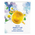 Lipton Herbal Supplement, Bedtime Bliss, 15 ct