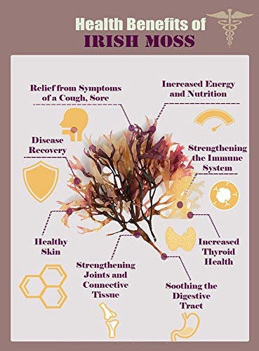 Nature Of Love: Sea Moss/Irish Moss Capsules - Natural, Vegan, Organic, Non-GMO