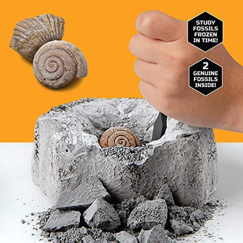 Discovery #MINDBLOWN Mini Fossil Dig Set, 2 Pack Excavation Kit, Interactive Archaeology Paleontology Experiment, Learn Science, Fun and Educational STEM Toy for Kids Ages 6 and Up