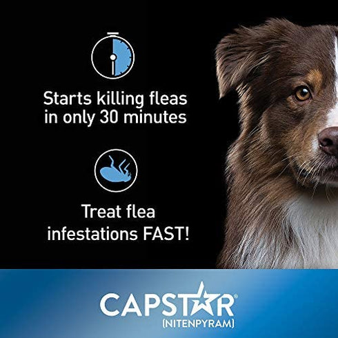 Capstar Flea Tablets for Dogs 2-25 lbs., Count of 12, 12 CT
