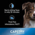 Capstar Flea Tablets for Dogs 2-25 lbs., Count of 12, 12 CT