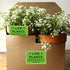 Green Live Plants Stickers for Shipping 2x3 inch Please Handle with Love Stickers Fragile Shipping Labels for Warehouse Pallet 250 pcs Live Plants Stickers per roll