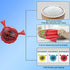 Benasan Whoopie Cushion for Kids,3PACK Whoopee Cushion for Children Adult Home and Office,Classic Woopie Cushion Stress Reliever for Party,Two Holes,9In
