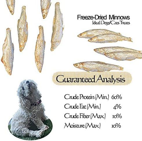 Amzey Minnows - 3.5 oz Freeze Dried - 100% Natural Premium Cat Treat, Dog Treat - Freeze Dried Minnows for Cats - Freeze Dried Minnows for Dogs - Bulk Package Minnows (1.6 "to 2.8" Length Each)