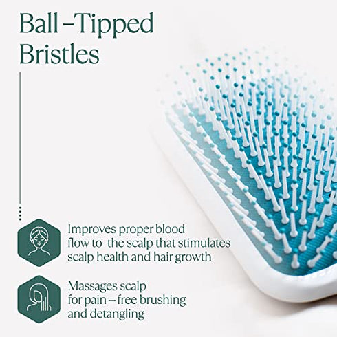 Hair Brush for Thick Hair with Ionic Minerals - Paddle Brush for Men and Women, for Blow Drying, Straightening - Gentle Bristles, Easy Comfort Grip Flat by Osensia (Paddle Brush)