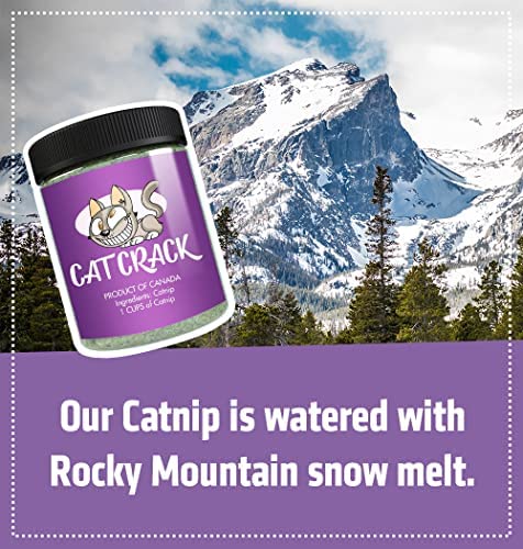 Cat Crack Organic Catnip, Premium Safe Nip Blend, Infused with Maximum Potency Your Kitty Will be Sure to Go Crazy for (1 Cup)