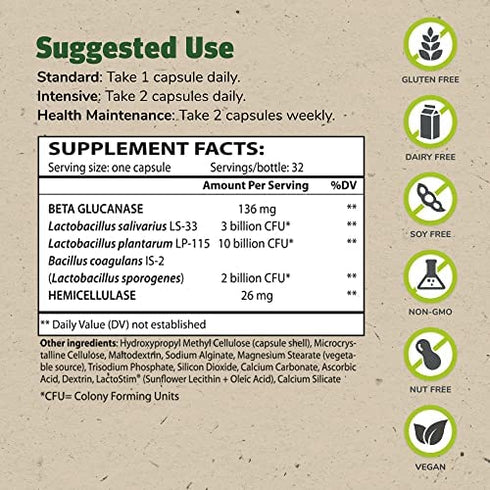 TruFlora Master Supplements 32 Capsules - Blend of Probiotics & Enzymes - Promotes Optimal Gut Health & Boosts Energy - Gluten Free - 32 Servings