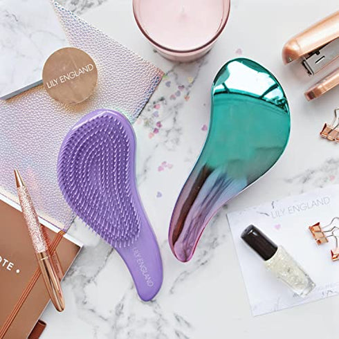 Detangling Brush. Detangler Hairbrush for Curly, Thick, Natural, Straight, Fine, Wet or Dry Hair for Women, Kids and Toddlers by Lily England (Ombre)