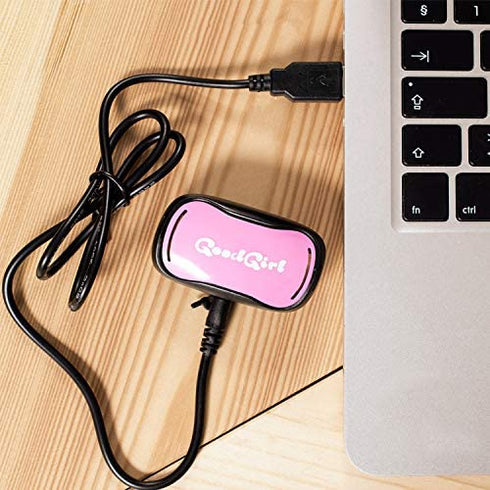 GoodBoy Extra Replacement Charger for Rechargeable Dog Bark Collars - Mini and 671 Models - USB to 2.0 mm Charger Cable