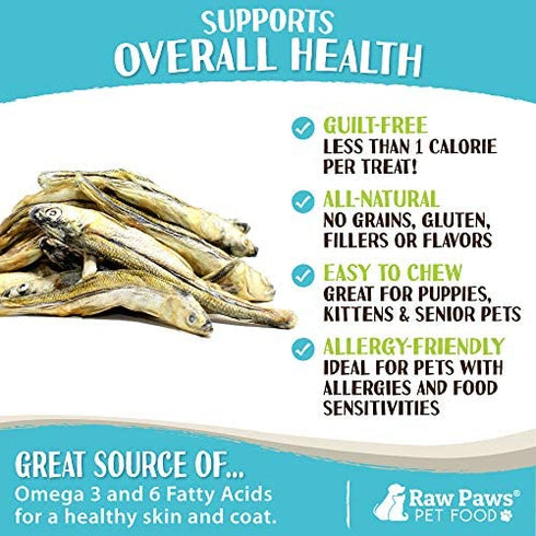 Raw Paws Pet Freeze Dried Minnows for Dogs & Cats, 2-oz - USA Fish Dog Treats - All Natural, Single Ingredient Minnow Cat Treats - Raw Freeze Dried Dog Snacks - Grain Free Cat Reward