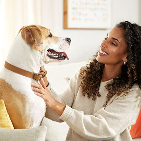 Rachael Ray Nutrish Soup Bones Dog Treats, Chicken & Veggies Flavor, 6 Bones