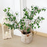 Whonline 43.3inch Artificial Greenery Stems, 2pcs Artificial Greenery Faux Branches for Vase Filler, Faux Ficus Twig with Green Eucalyptus Leaves for Home Office Decor
