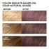 L'Oreal Paris Feria Multi-Faceted Shimmering Permanent Hair Color, 721 Dusty Mauve