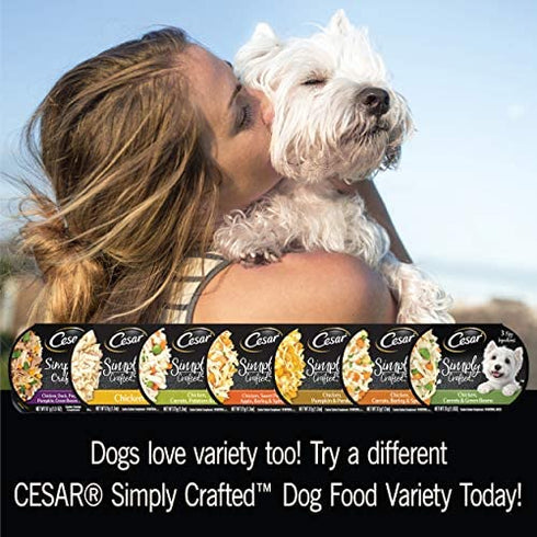 Cesar Simply Crafted Adult Soft Wet Dog Food Meal Topper Variety Pack, Chicken, Duck, Purple Potatoes, Pumpkin, Green Beans & Brown Rice and Chicken, Carrots, Barley & Spinach, (8) 1.3 oz. Tubs