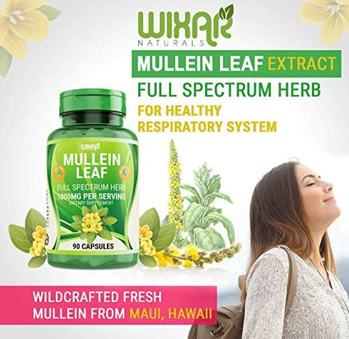 WIXAR NATURALS Mullein Leaf Capsules - 90 Capsules - Herbal Supplement Supports Healthy Respiratory Function & Mucous Membranes - 1000 mg - Natural Mullein for Lung Cleanse Support
