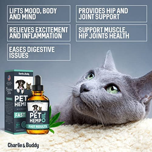 Charlie & Buddy H?mp Oil Dogs Cats - Helps Pets with ?nxiety, P?in, Str?ss, Sl??p, ?rthritis, S?izures R?lief - ?ip J?int H?alth - 100 Natural Pure Drops, Organic C?lming Tr?ats
