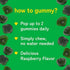 Superfood Greens Gummies with Fruits and Veggies for Energy & Immunity - Fruit and Vegetable Supplements with Spirulina, Chlorella, Beets & Tart Cherry - Daily Greens Supplements - 60 Veggie Gummies