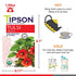 Tipson Tulsi Herbal Infusion - Hibiscus - 25 Organic Tea Bags - Caffeine Free - NonGMO - Gluten Free- Double Chambered Foil Enveloped Bags
