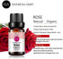 Rose Jasmine Essential Oil Set Aromatherapy 100% Pure Organic Oils for Diffuser, Massage, Skin- 2 x 10ml¡