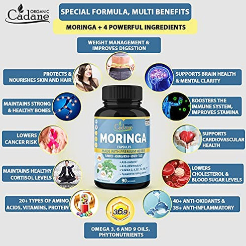 Organic Moringa Extract Capsules equivalent to 6450MG, 3 Months Supply & Ashwagandha, Tulsi, Ginger, Turmeric| Multi Vitamin Oleifera Leaf Herb| Support Immune, Energy Booster| Anti-Inflammatory Herbs