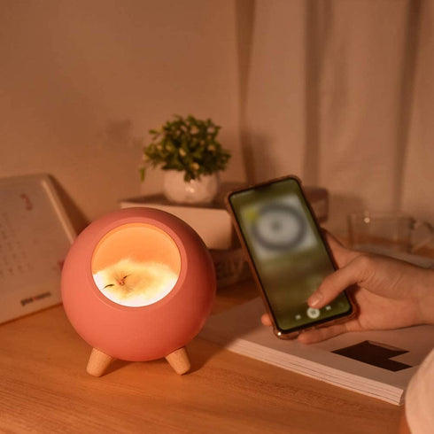Cat Night Light,Mini Dimming Table Lamp Cute Bedside Nightlight - Cat Lover Gifts,Thanksgiving Christmas Birthday Gifts for Wife Mom Teen Girls