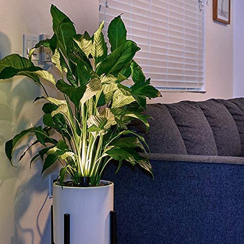 LED Indoor Spot Light for Plants & Accent Lighting - Uplight & Down Spotlight for Potted Plants Home & Living Room (3W LED) Decorative 110V Lamp with Plug for Interior Wall (Warm White) (with Stake)