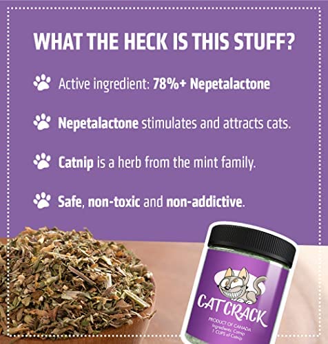 Cat Crack Organic Catnip, Premium Safe Nip Blend, Infused with Maximum Potency Your Kitty Will be Sure to Go Crazy for (1 Cup)