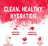 BioSteel Hydration Mix, Sugar-Free with Essential Electrolytes, Mixed Berry, 12 Single Serving Packets