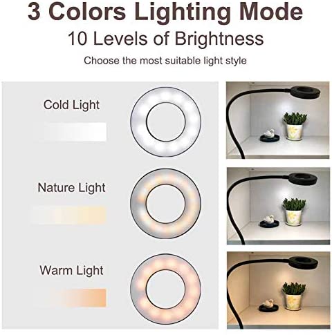 Bekada LED Desk Light with Clamp for Video Conference Lighting, Clip on LED Ring Light for Computer Webcam, USB Laptop Light for Zoom Meetings, Reading Light with 3 Color 10 Dimming Level