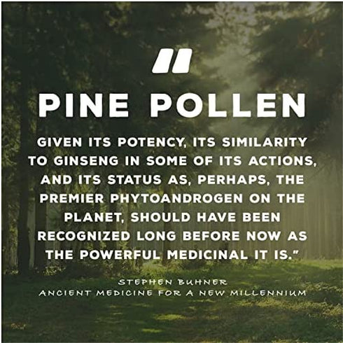 Surthrival: Pine Pollen Pure Potency Extract (1.69 fl oz), Increased Stamina, Hormone Balance, Energy & Endurance Restoration
