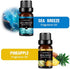 Fragrance Essential Oil - Organic 6pc Holiday Breeze Scent Gift Set - Perfect for Candle Making, Soap Scents, Slime - Oils for Diffuser, Humidifier, Aromatherapy, Aroma Beads, Car Freshener (10mL)