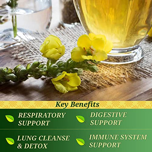 Mullein Tea Bags For Lungs - Herbal Tea Mullein Leaf of Flowers - 100% Pure Natural - 2g X 25 Tea Bags