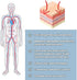 Multi-Nutrients in a Topical Skin Patch, from Nutri-Patch. 30 Day Supply.