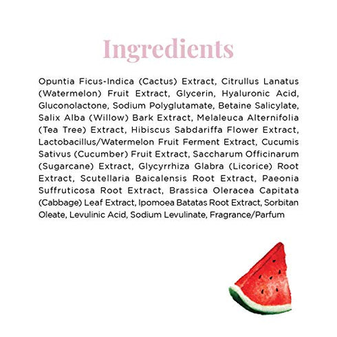 Glow Recipe Mini Watermelon Glow BHA + PHA Pore-Tight Facial Toner - Mild Exfoliating Toner with Hyaluronic Acid, Cactus Water, Soothing Cucumber + Tea Tea Extract, Travel-Size (40ml)