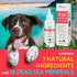 Arava Dog Ear Infection Treatment - First Aid in Acute & Chronic Inflammations - Anti Itch Effective Ear Cleaner - Pet Otic Ear Care Solution
