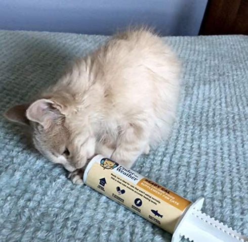 Under the Weather Pet | Ready Cal for Cats 100cc | High Calorie Nutritional Supplement for Weight Gain & Not Eating | 10 Vitamins, 7 Minerals, Omega Fatty Acids