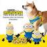 Minions: The Rise of Gru Bob Plush Flat Crinkle Dog Toy | No Stuffing Dog Toy| Gifts Fans and Their Pets | Officially Licensed Pet Product from Universal Studios