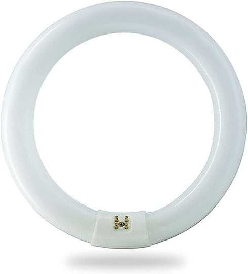 BULBMASTER FC8T9/CW 22 Watt 8 Inch Round T9 Fluorescent Circular Light Bulb, Cool White 4100K, 1120 Lumens G10Q 4-Pin Base 22W Circline Ceiling Lights