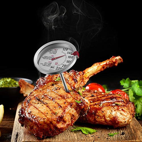 SINARDO Roasting Meat Thermometer T731, Oven Safe, Large 2.5-Inch Easy-Read Face, Stainless Steel Stem and Housing