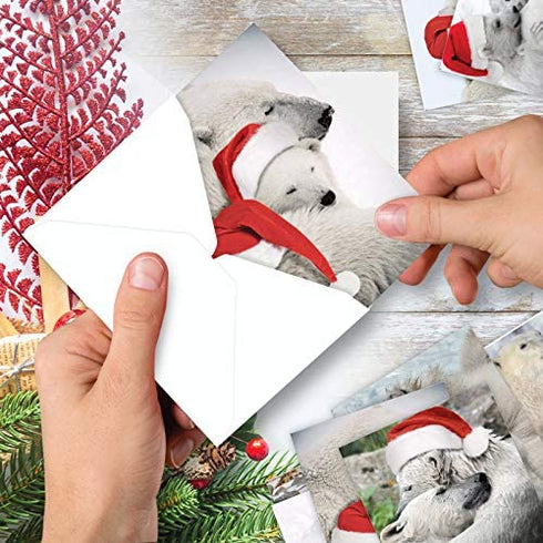 The Best Card Company Variety Pack of 10 Christmas Greeting Cards with Envelopes, Humor Holiday Assortment for Men and Women (10 Designs, 1 Each) - Bear Hugs AM6327XSG-B1x10